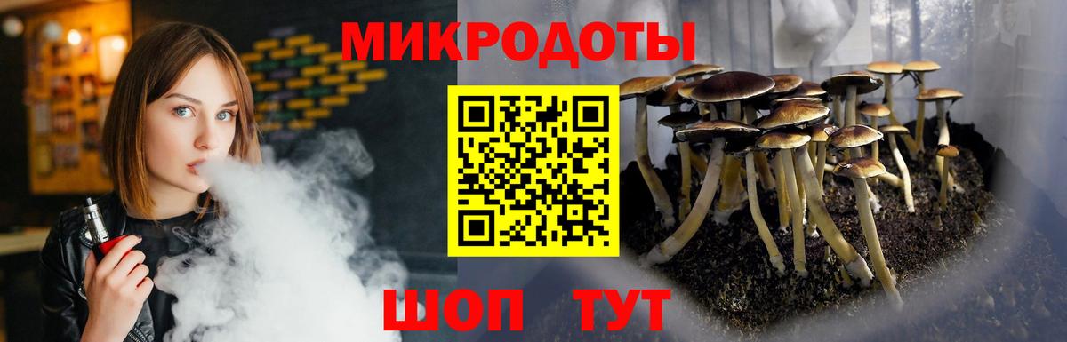 Мирный  Галлюциногенные грибы Psilocybine cubensis  Вход с VPN  Галлюциногенные грибы прущие грибы 